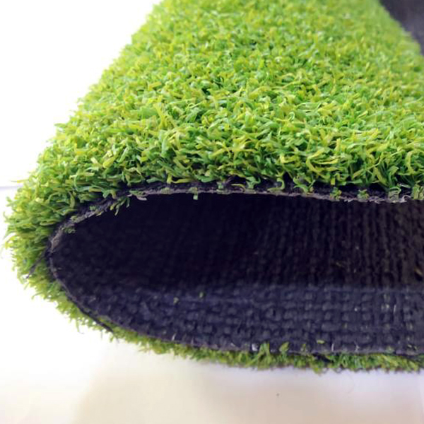 Close-up of Artificial Cricket Turf